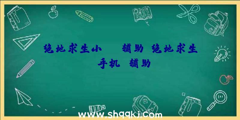 绝地求生小xyz辅助、绝地求生